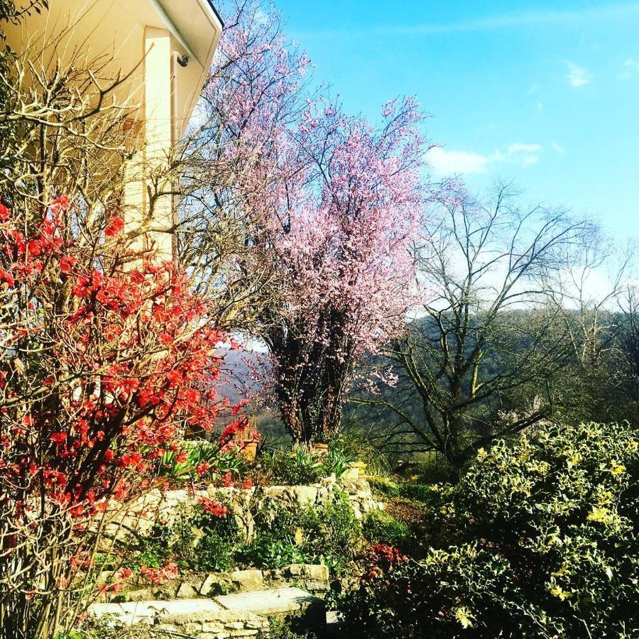 La Valle B&B Brescia Extérieur photo